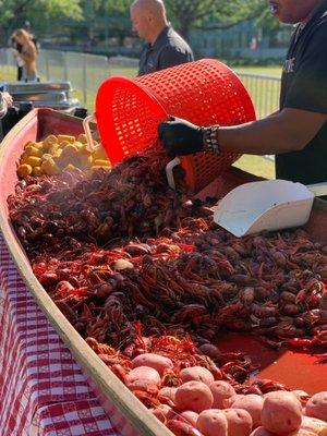 Crawfest is back on campus