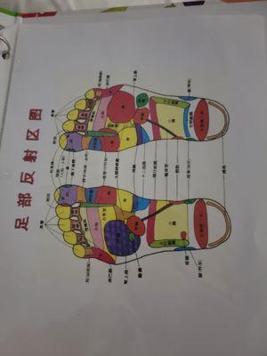 Reflexology Chart