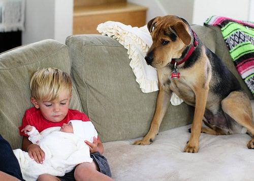 The famous duo "Beau and Theo" approve of their baby sister, Evvie  :)