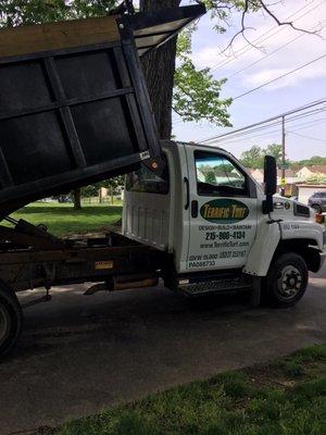 These guys worked 12 hours a day for the past several days to make my yard the best around. Great job!