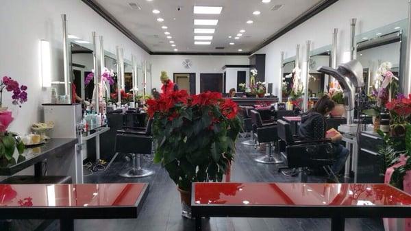 New grand opening. "Hair world " cecilia