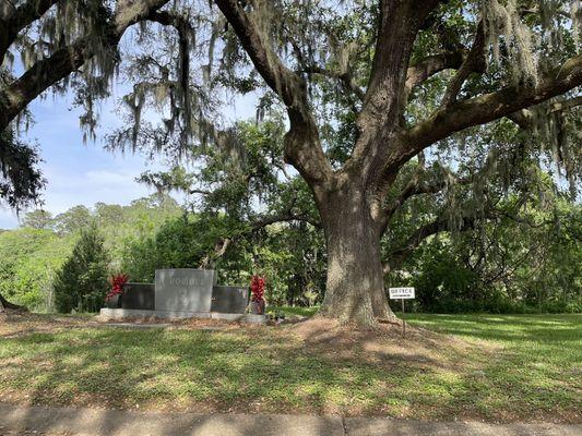 Crowder by the bayou