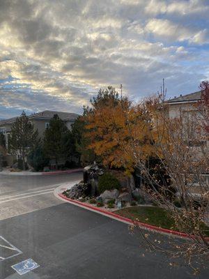 Gym views