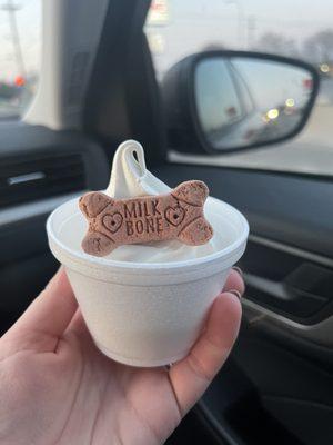 Small dog sundae aka "pup cup"