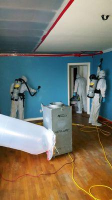 Mold Remediation