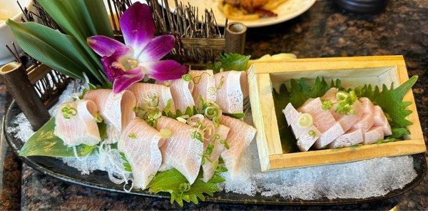 Sashimi