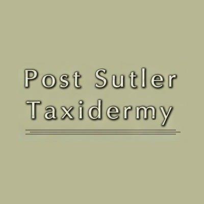 Post Sutler Taxidermy