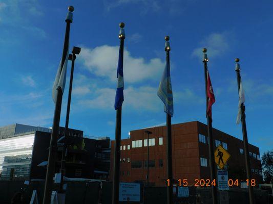 The many flags you see each day of the armed services of the United States of the United States .