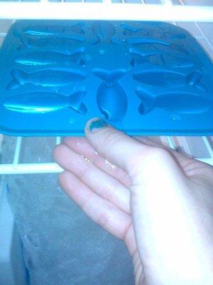 Swedish fish ice cube tray? Ok! Thanks, @ikea