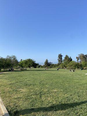 view of the grassy area