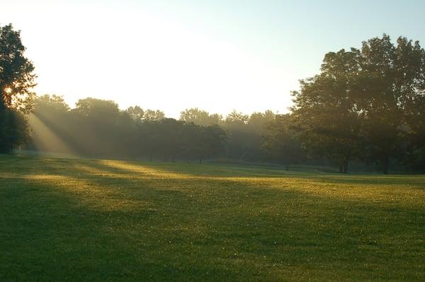 Fairway is in great shape!