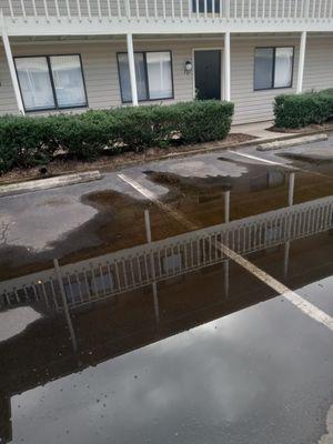 In front of apartment covered water looking Nasty