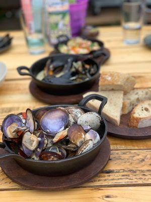 Clams, mussels & trout