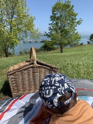 Picnic in the park