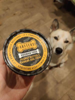 Dog Ice cream