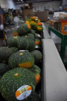 Squash at the old store location,