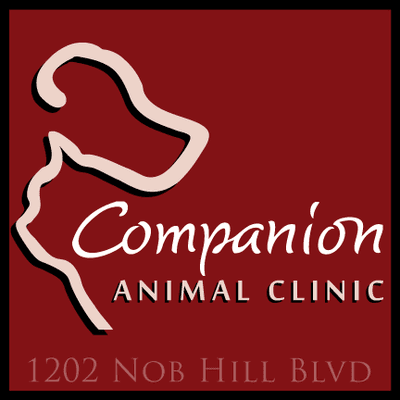 Companion Animal Clinic