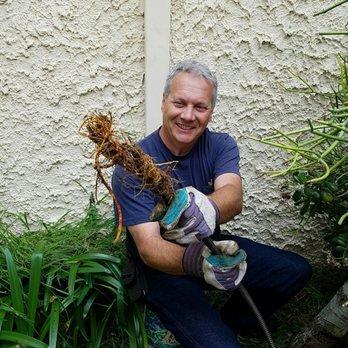 Oak tree roots in Pasadena