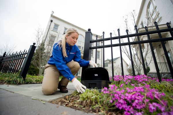 American Pest proactively monitors for rodent activity from the exterior, to help prevent you from having a problem inside. *rodent control