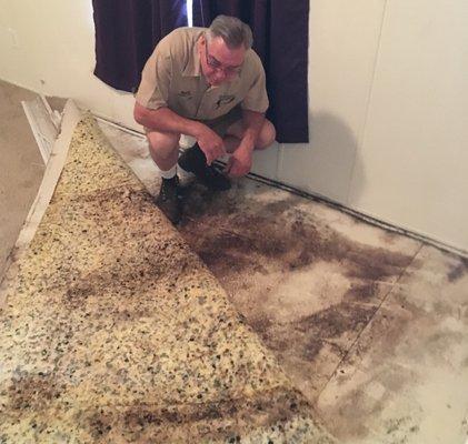 Heavy mold below carpet in children's bedroom!