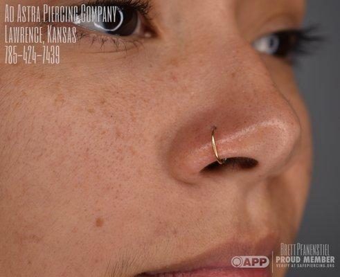 New Nostril Piercing by APP Member Brett Pfanenstiel featuring a Solid Gold Ring made by APP Member Erik Grover