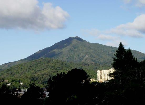 Mt. Tam is just one of the wonderful features here in Marin County