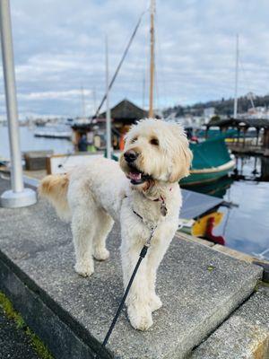 Exploring the historic ships!