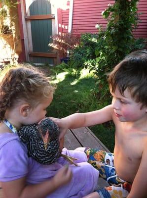 Children tending to one of our chickens, Dorothy.