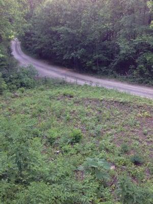 The road driving up to cabin