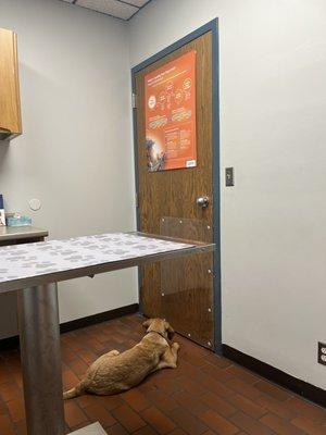 Woodlake Veterinary Hospital