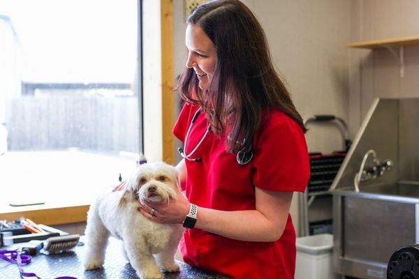 This is Dr. Senn and she works next door at the Mt. Pleasant Animal Clinic. She is an amazing Vet and is always willing to help us if needed