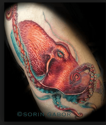 Large scale octopus by Sorin