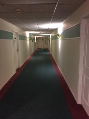 Hallway from the shining ...