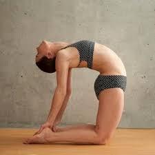 One of our major detoxing and heart Opening poses. Ustrasana/ Camel, opens the entire front - from the pelvis, abdominal wall to the neck