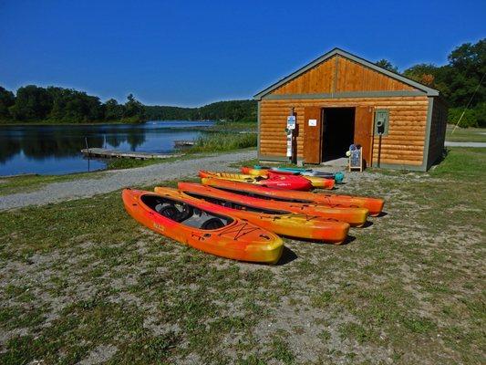 Kayak Rentals