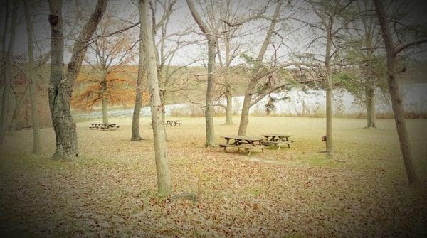 Picnic Tables at Shawnee State Park.