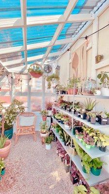 Inside greenhouse