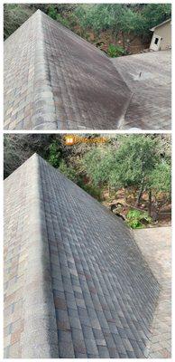 Roof Cleaning Before & After