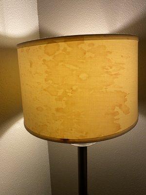 Dirty lamp shade, probably brain matter.