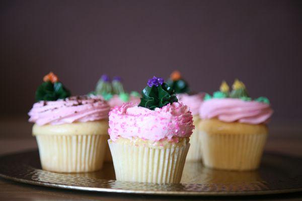 Special Edition Prickly Pear Cupcakes