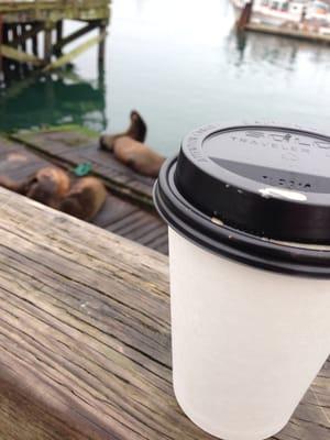 Coffee & sea lions!