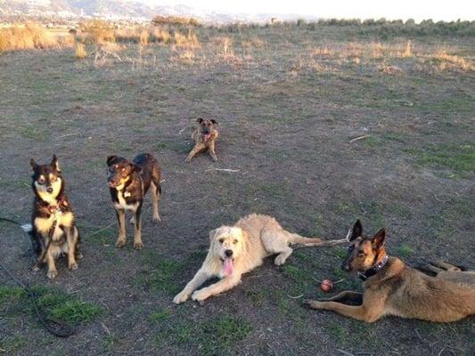 Stopping for a photo opp during a walk