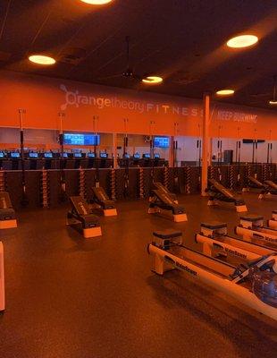 Orangetheory Fitness Camp Bowie