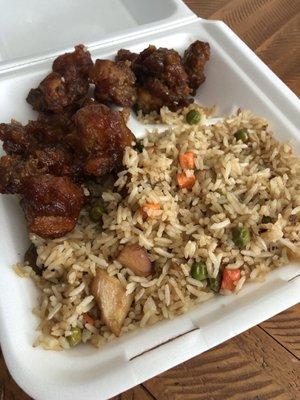 Extremely dry sesame chicken and fried rice. Both tasted like they were leftovers from the previous day.