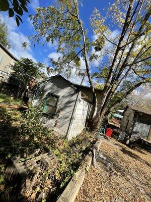 Shed removal