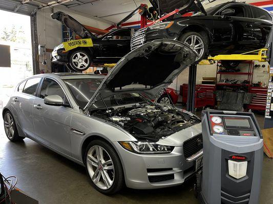 European Auto Clinic in Federal Way, WA is a  repair shop that service Jaguar.