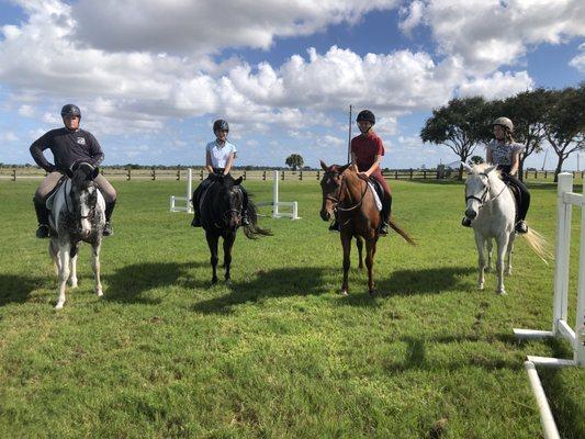 McNally Show Horses