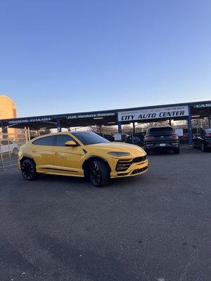 Beautiful Yellow Lamborghini