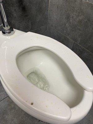 Pee everywhere