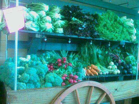 lettuce and local veggie wall